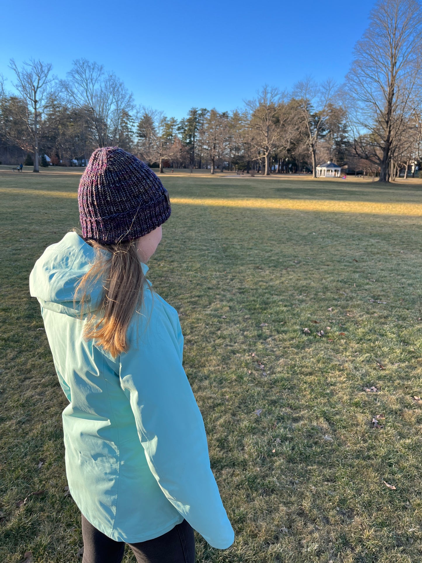 Merino Wool Knitted Hat - Wildwood in Purple Multi